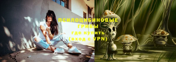 мдпв Инта
