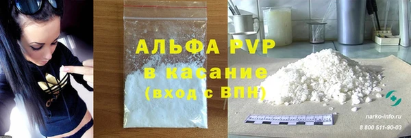 PSILOCYBIN Инсар