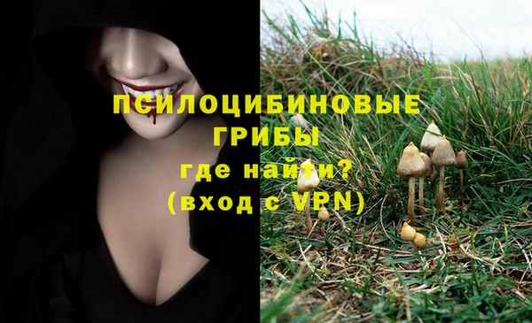 мдпв Инта