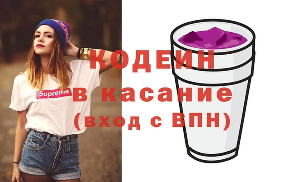 сатива Иннополис