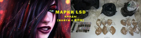 PSILOCYBIN Инсар