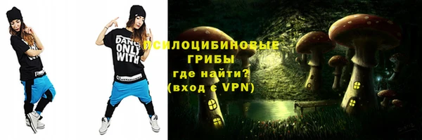 мдпв Инта