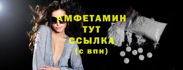 мдпв Инта