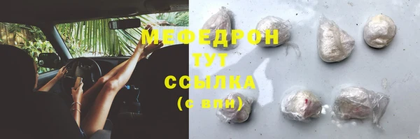 мдпв Инта