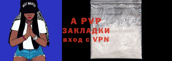 PSILOCYBIN Инсар