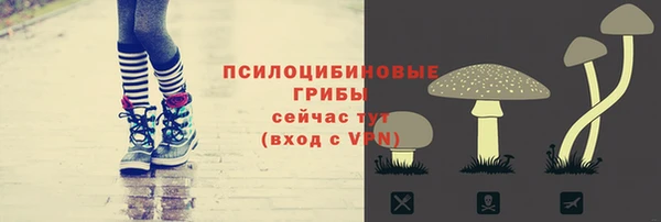 мдпв Инта