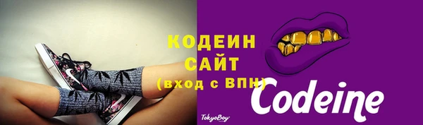 мдпв Инта