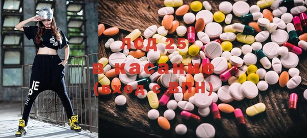 PSILOCYBIN Инсар