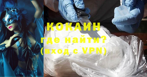 сатива Иннополис