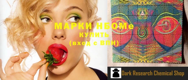 сатива Иннополис
