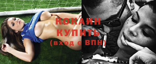 сатива Иннополис