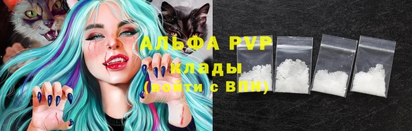 сатива Иннополис