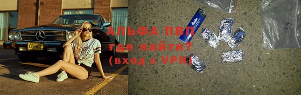 сатива Иннополис