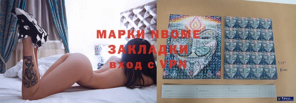 мдпв Инта