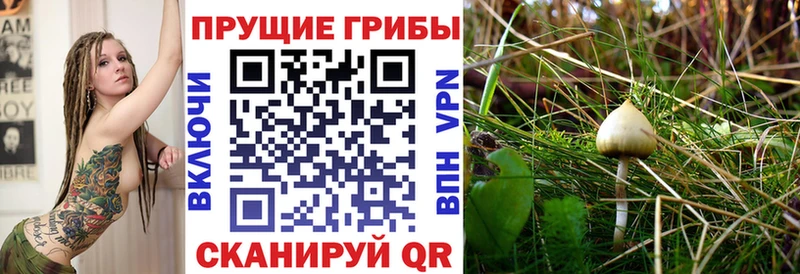 мега ТОР  как найти закладки  shop телеграм  Галлюциногенные грибы мухоморы  Новокузнецк 