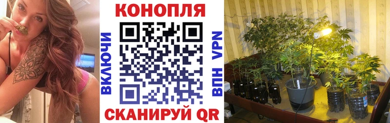 что такое   Новокузнецк  Конопля конопля 
